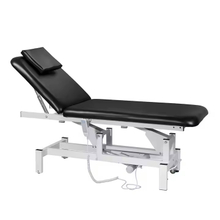 ZQ-EC01-D30 One Motor 2 Section Massage Table Treatment Table Physical Therapy