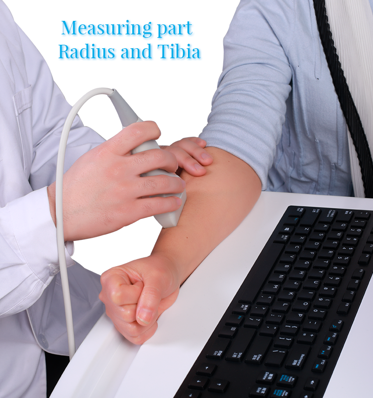 Portable ultrasound bone densitometer device for fast bone density test